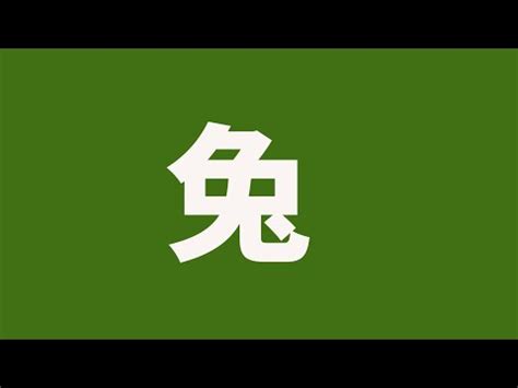 2023屬兔姓名學|神乎奇際